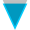 XVG icon